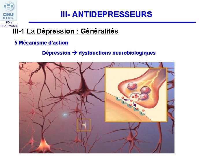 III- ANTIDEPRESSEURS Pôle PHARMACIE III-1 La Dépression : Généralités 5 Mécanisme d’action Dépression dysfonctions