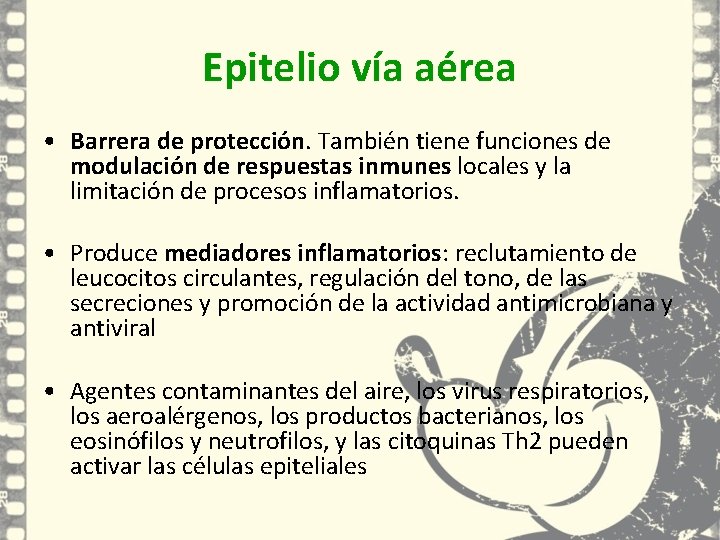 Epitelio vía aérea • Barrera de protección. También tiene funciones de modulación de respuestas Epitelio vía aérea • Barrera de protección. También tiene funciones de modulación de respuestas