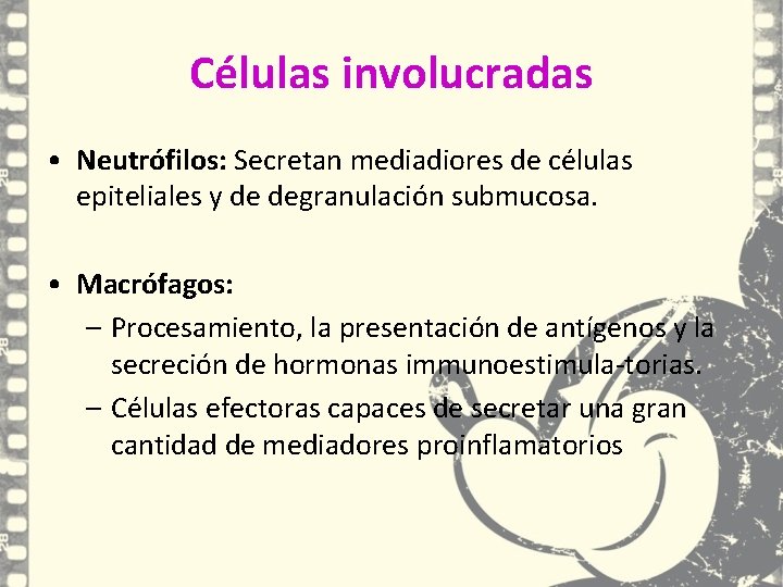 Células involucradas • Neutrófilos: Secretan mediadiores de células epiteliales y de degranulación submucosa. • Células involucradas • Neutrófilos: Secretan mediadiores de células epiteliales y de degranulación submucosa. •