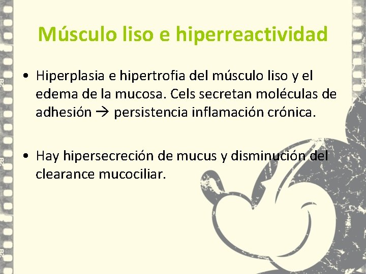Músculo liso e hiperreactividad • Hiperplasia e hipertrofia del músculo liso y el edema Músculo liso e hiperreactividad • Hiperplasia e hipertrofia del músculo liso y el edema