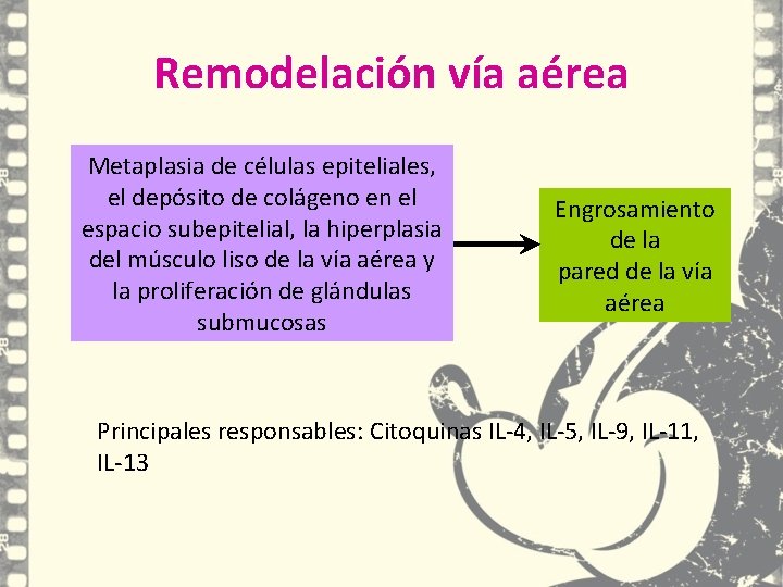 Remodelación vía aérea Metaplasia de células epiteliales, el depósito de colágeno en el espacio Remodelación vía aérea Metaplasia de células epiteliales, el depósito de colágeno en el espacio