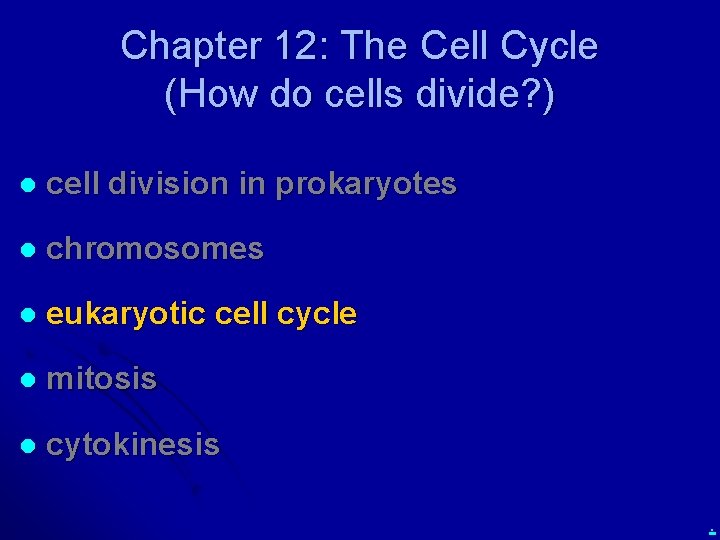 Chapter 12 The Cell Cycle How do cells