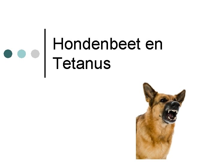 Hondenbeet en Tetanus 