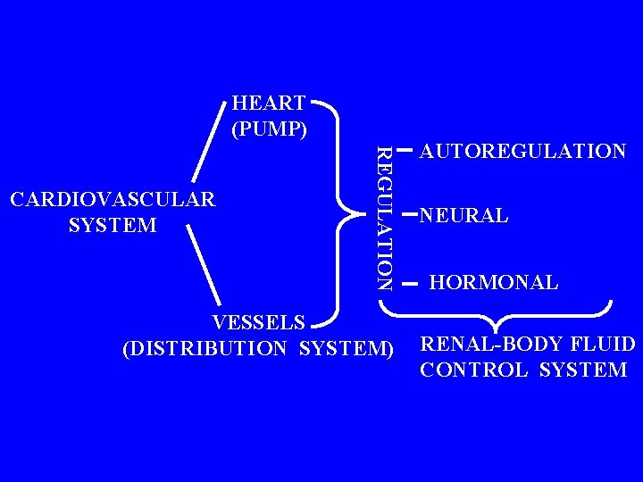HEART (PUMP) REGULATION CARDIOVASCULAR SYSTEM VESSELS (DISTRIBUTION SYSTEM) AUTOREGULATION NEURAL HORMONAL RENAL-BODY FLUID CONTROL