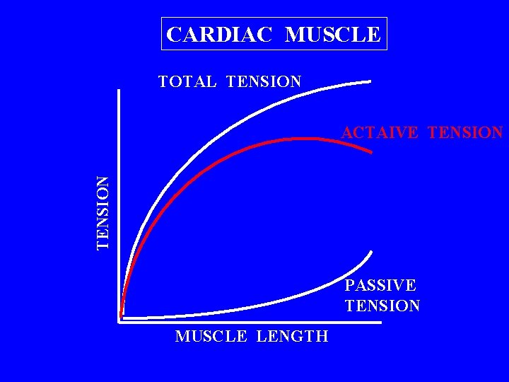 CARDIAC MUSCLE TOTAL TENSION ACTAIVE TENSION PASSIVE TENSION MUSCLE LENGTH 
