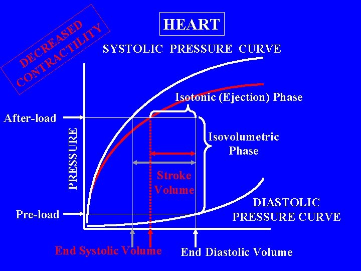 HEART D Y E S IT A E TIL SYSTOLIC PRESSURE CURVE R C