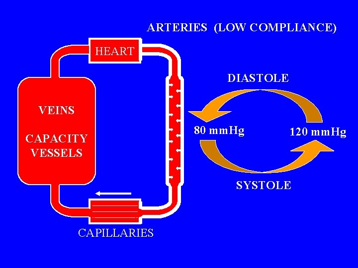 ARTERIES (LOW COMPLIANCE) HEART DIASTOLE VEINS CAPACITY VESSELS 80 mm. Hg 120 mm. Hg