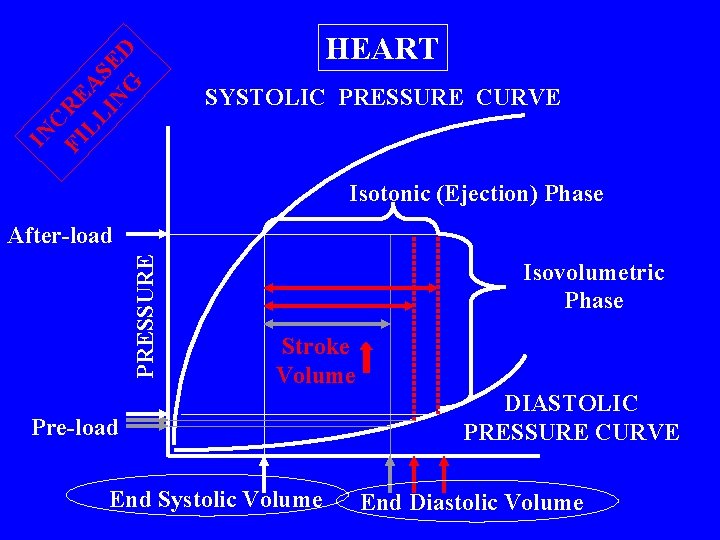 IN C FI RE LL A IN SE G D HEART SYSTOLIC PRESSURE CURVE
