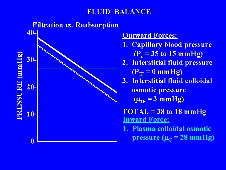 PRESSURE (mm. Hg) FLUID BALANCE Filtration vs. Reabsorption 40 Outward Forces: 1. Capillary blood