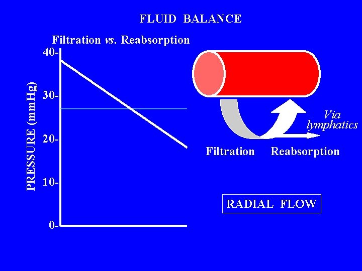 FLUID BALANCE PRESSURE (mm. Hg) Filtration vs. Reabsorption 4030 Via lymphatics 20 - Filtration