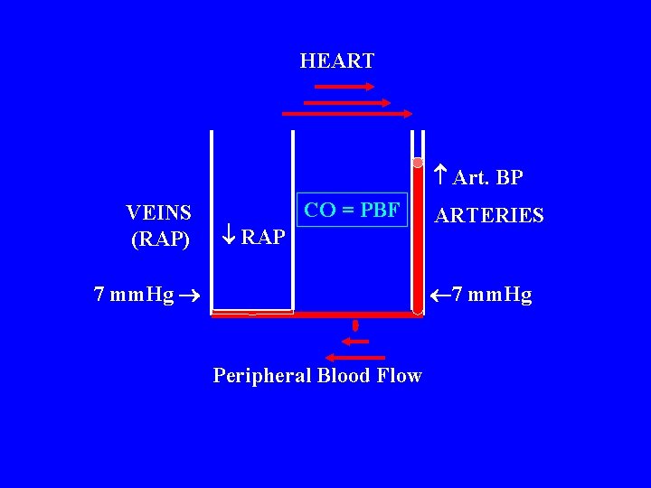 HEART Art. BP VEINS (RAP) CO = PBF RAP 7 mm. Hg ARTERIES 7