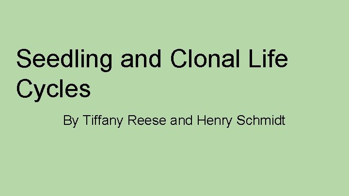 Seedling and Clonal Life Cycles By Tiffany Reese and Henry Schmidt 