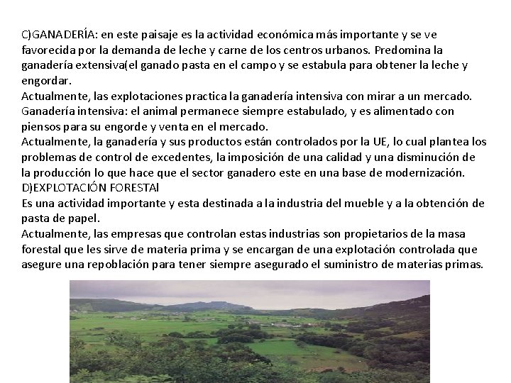 C)GANADERÍA: en este paisaje es la actividad económica más importante y se ve favorecida