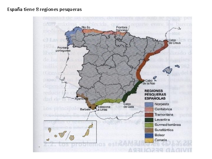 España tiene 8 regiones pesqueras 