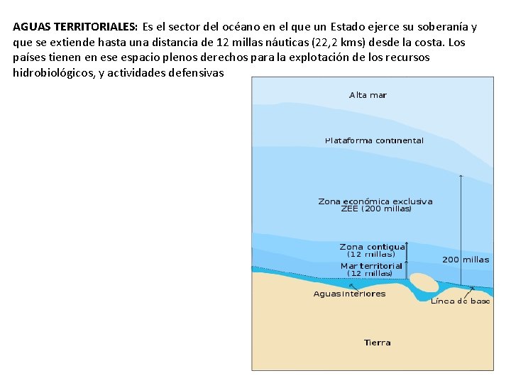 AGUAS TERRITORIALES: Es el sector del océano en el que un Estado ejerce su