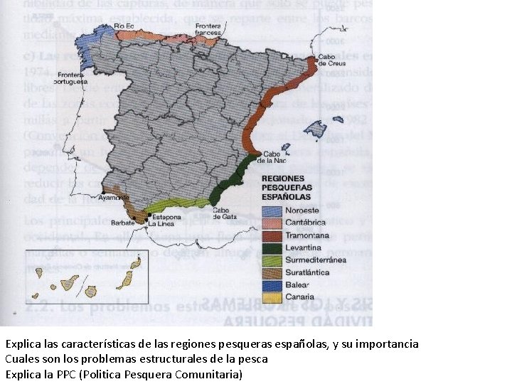 Explica las características de las regiones pesqueras españolas, y su importancia Cuales son los