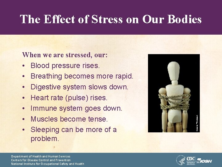 When we are stressed, our: • Blood pressure rises. • Breathing becomes more rapid.