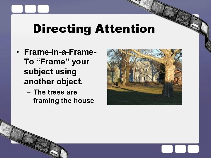 Directing Attention • Frame-in-a-Frame- To “Frame” your subject using another object. – The trees