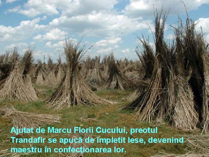 Ajutat de Marcu Florii Cucului, preotul Trandafir se apucă de împletit lese, devenind maestru