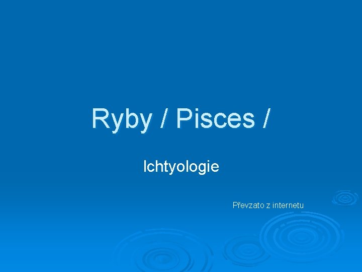 Ryby / Pisces / Ichtyologie Převzato z internetu 