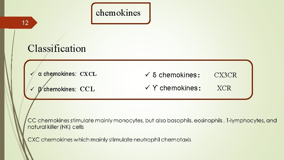 chemokines 12 Classification ü α chemokines: CXCL ü ẟ chemokines: CX 3 CR ü