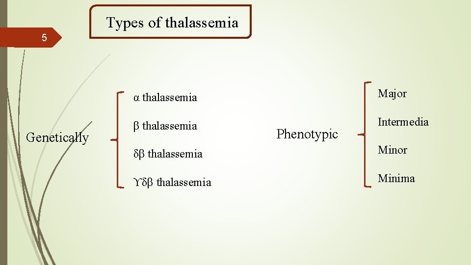 Types of thalassemia 5 Genetically α thalassemia Major β thalassemia Intermedia Phenotypic ẟβ thalassemia