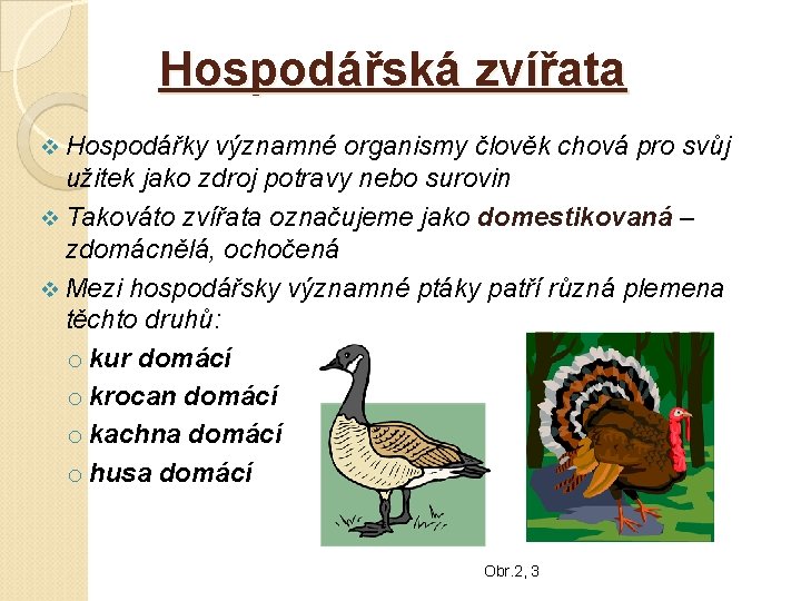 Hospodářská zvířata v Hospodářky významné organismy člověk chová pro svůj užitek jako zdroj potravy Hospodářská zvířata v Hospodářky významné organismy člověk chová pro svůj užitek jako zdroj potravy