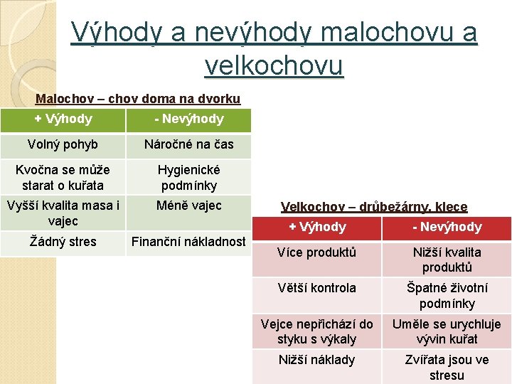 Výhody a nevýhody malochovu a velkochovu Malochov – chov doma na dvorku + Výhody Výhody a nevýhody malochovu a velkochovu Malochov – chov doma na dvorku + Výhody