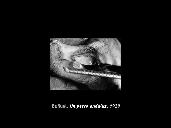 Buñuel. Un perro andaluz, 1929 