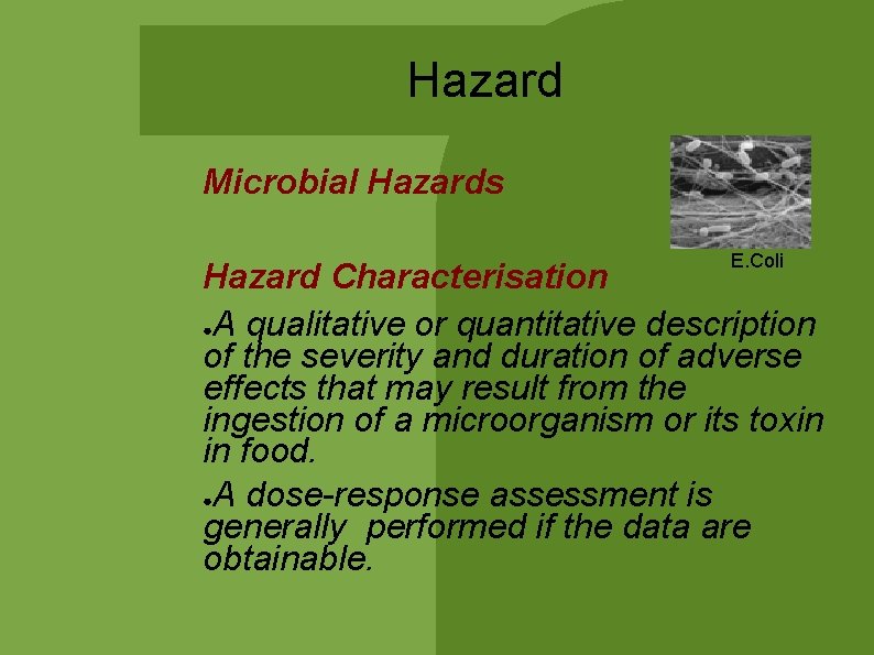 Hazard Microbial Hazards E. Coli Hazard Characterisation ●A qualitative or quantitative description of the Hazard Microbial Hazards E. Coli Hazard Characterisation ●A qualitative or quantitative description of the