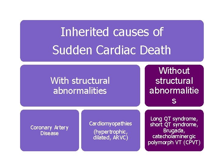 Inherited causes of Sudden Cardiac Death With structural abnormalities Coronary Artery Disease Cardiomyopathies (hypertrophic,