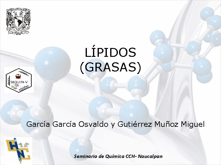 LÍPIDOS (GRASAS) García Osvaldo y Gutiérrez Muñoz Miguel Seminario de Química CCH- Naucalpan 