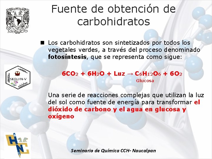 Fuente de obtención de carbohidratos n Los carbohidratos son sintetizados por todos los vegetales