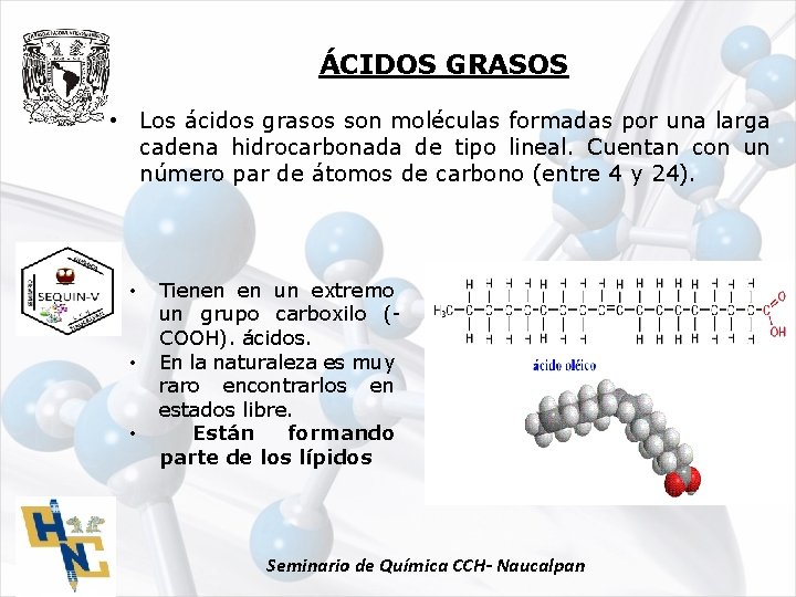 ÁCIDOS GRASOS • Los ácidos grasos son moléculas formadas por una larga cadena hidrocarbonada