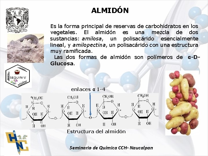 ALMIDÓN Es la forma principal de reservas de carbohidratos en los vegetales. El almidón