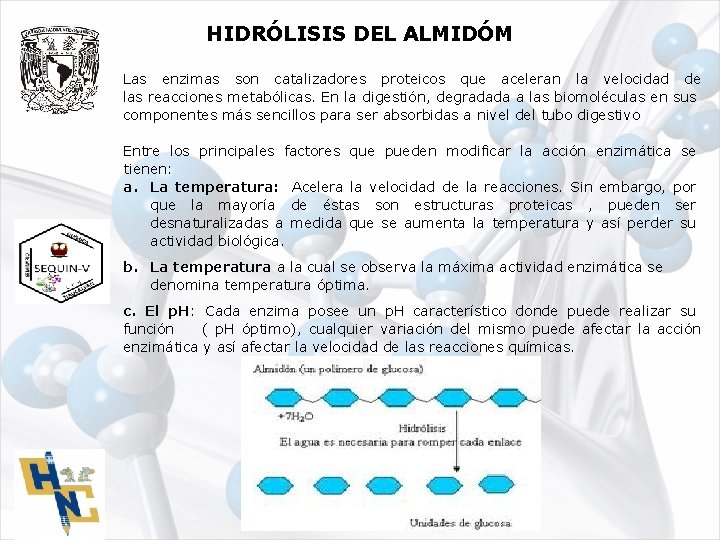 HIDRÓLISIS DEL ALMIDÓM Las enzimas son catalizadores proteicos que aceleran la velocidad de las