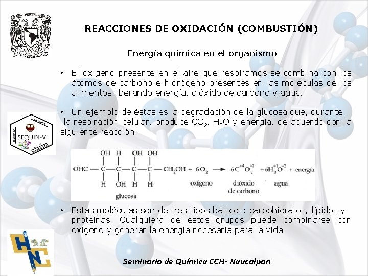 REACCIONES DE OXIDACIÓN (COMBUSTIÓN) Energía química en el organismo • El oxígeno presente en