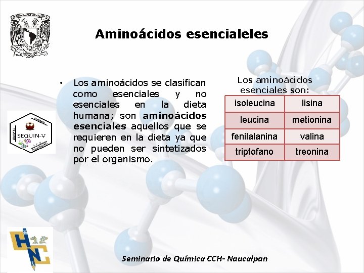 Aminoácidos esencialeles • Los aminoácidos se clasifican como esenciales y no esenciales en la