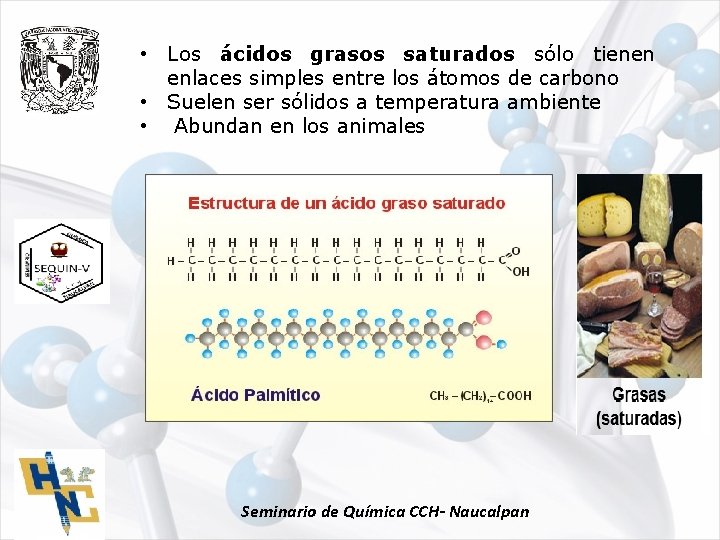  • Los ácidos grasos saturados sólo tienen enlaces simples entre los átomos de