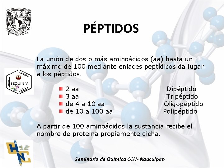 PÉPTIDOS La unión de dos o más aminoácidos (aa) hasta un máximo de 100
