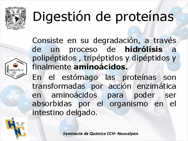 Digestión de proteínas Consiste en su degradación, a través de un proceso de hidrólisis