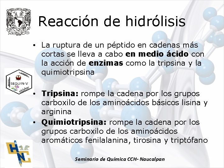 Reacción de hidrólisis • La ruptura de un péptido en cadenas más cortas se