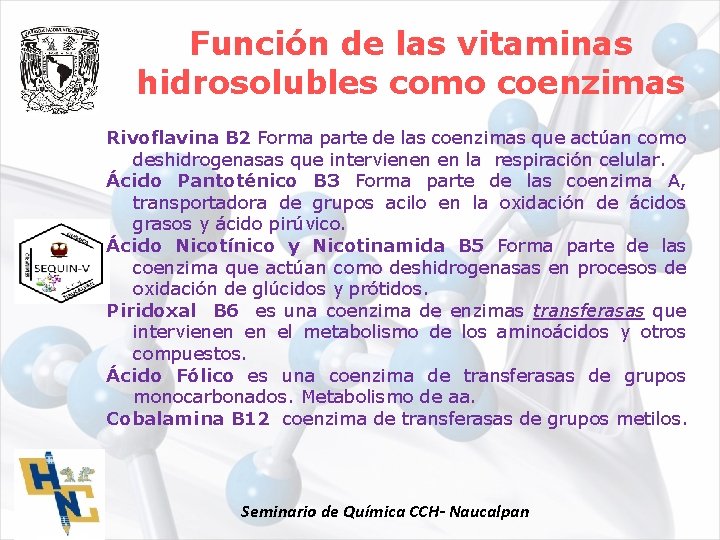 Función de las vitaminas hidrosolubles como coenzimas Rivoflavina B 2 Forma parte de las