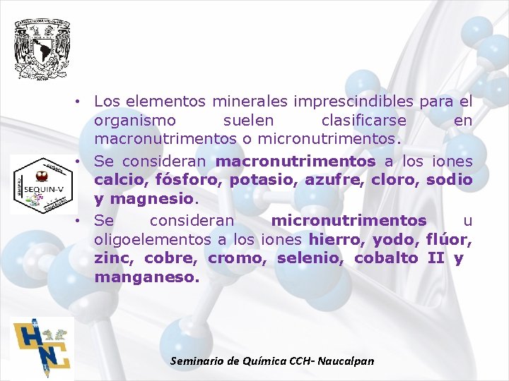  • Los elementos minerales imprescindibles para el organismo suelen clasificarse en macronutrimentos o