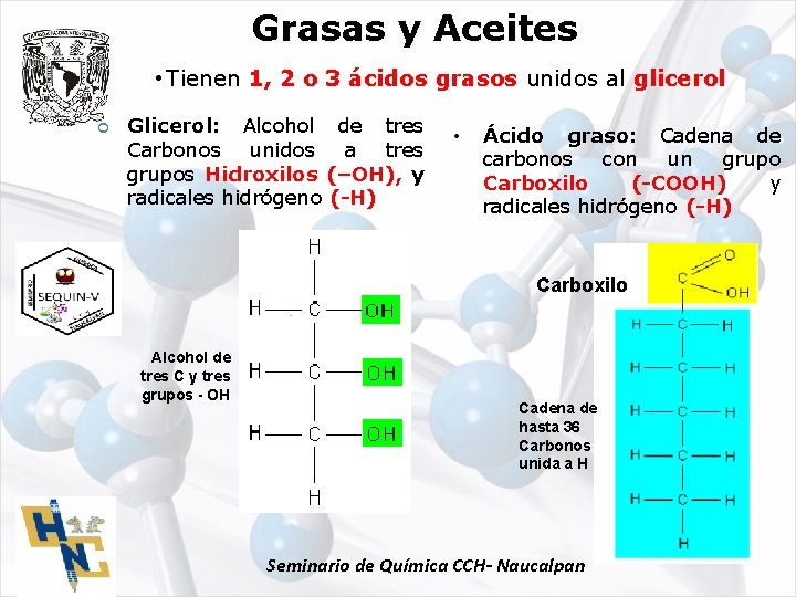 Grasas y Aceites • Tienen 1, 2 o 3 ácidos grasos unidos al glicerol
