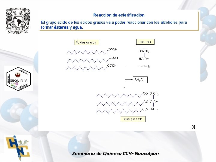 Seminario de Química CCH- Naucalpan 