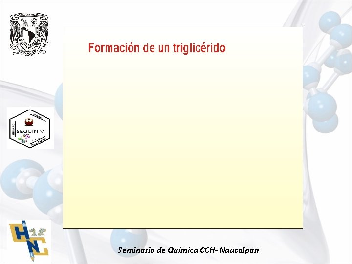 Seminario de Química CCH- Naucalpan 