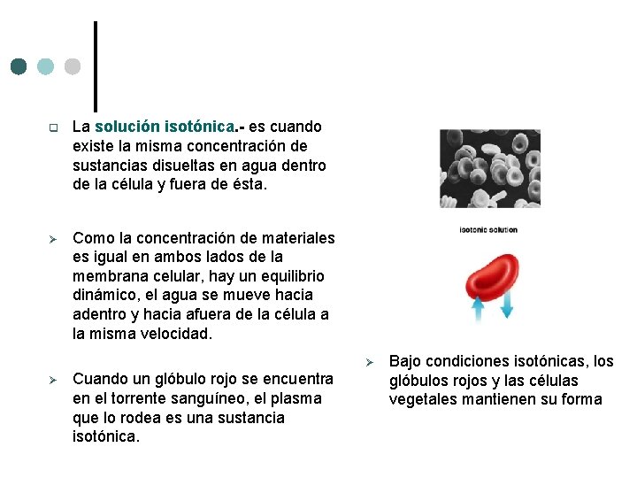 q La solución isotónica. - es cuando existe la misma concentración de sustancias disueltas q La solución isotónica. - es cuando existe la misma concentración de sustancias disueltas