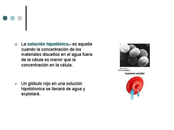 ¢ La solución hipotónica. - es aquella cuando la concentración de los materiales disueltos ¢ La solución hipotónica. - es aquella cuando la concentración de los materiales disueltos
