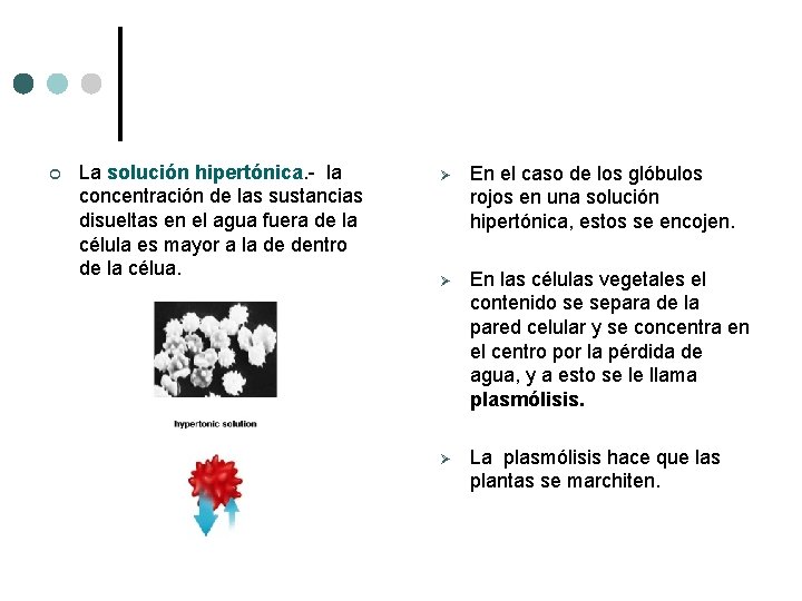 ¢ La solución hipertónica. - la concentración de las sustancias disueltas en el agua ¢ La solución hipertónica. - la concentración de las sustancias disueltas en el agua